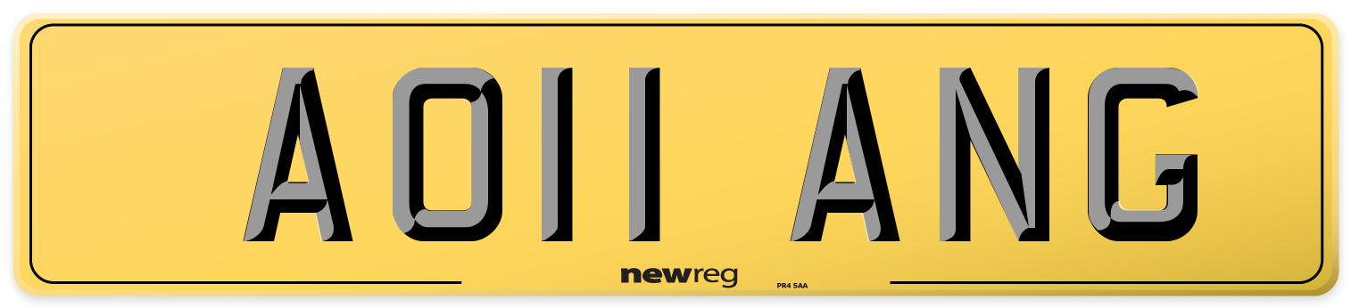 AO11 ANG Rear Number Plate