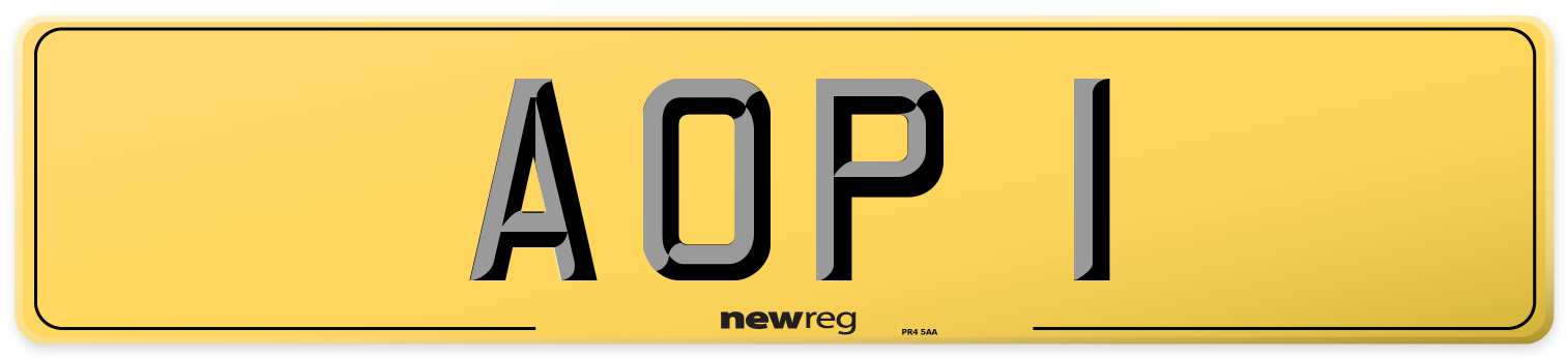 AOP 1 Rear Number Plate