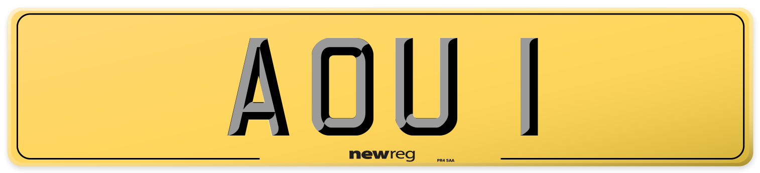 AOU 1 Rear Number Plate