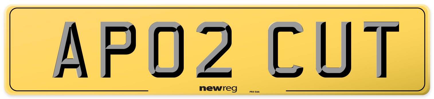 AP02 CUT Rear Number Plate