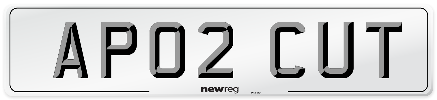 AP02 CUT Front Number Plate