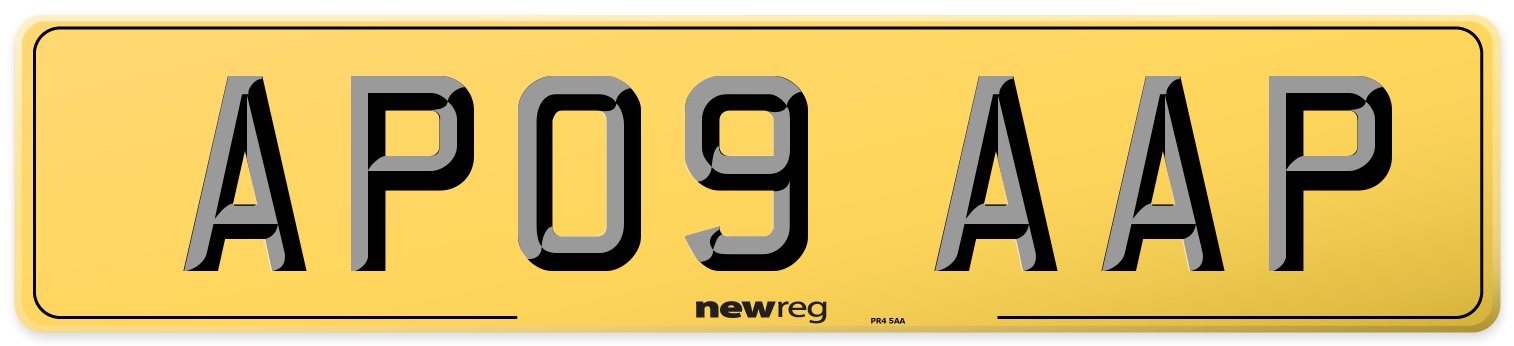 AP09 AAP Rear Number Plate