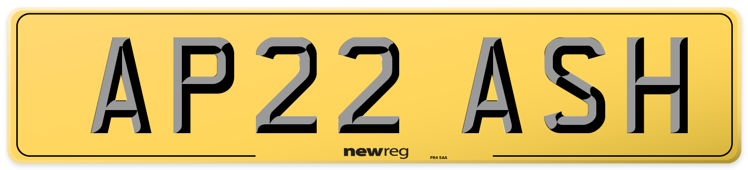 AP22 ASH Rear Number Plate