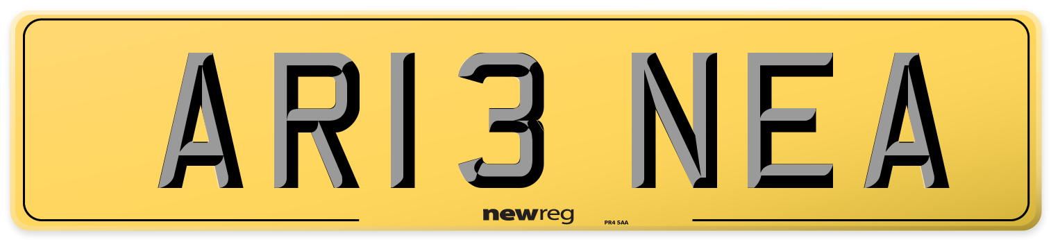 AR13 NEA Rear Number Plate