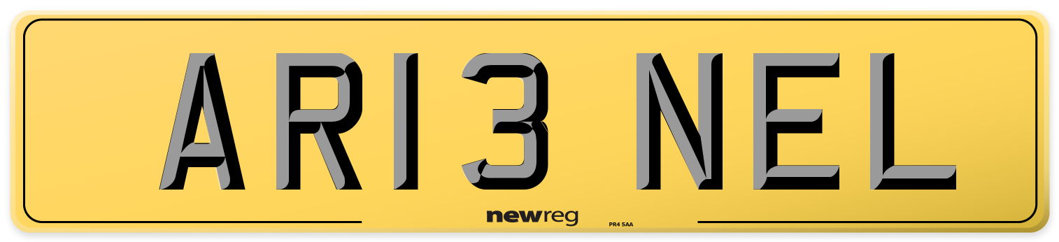 AR13 NEL Rear Number Plate