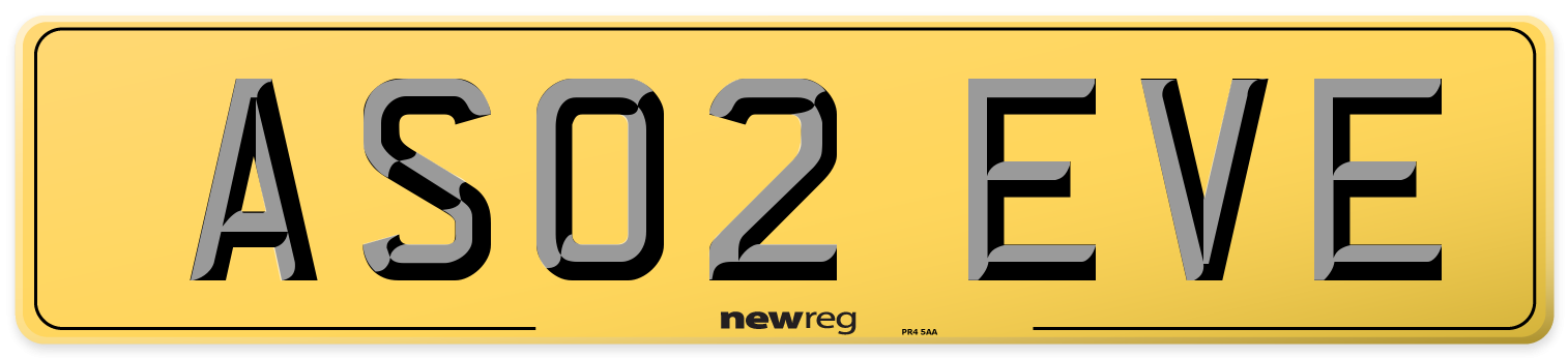 AS02 EVE Rear Number Plate