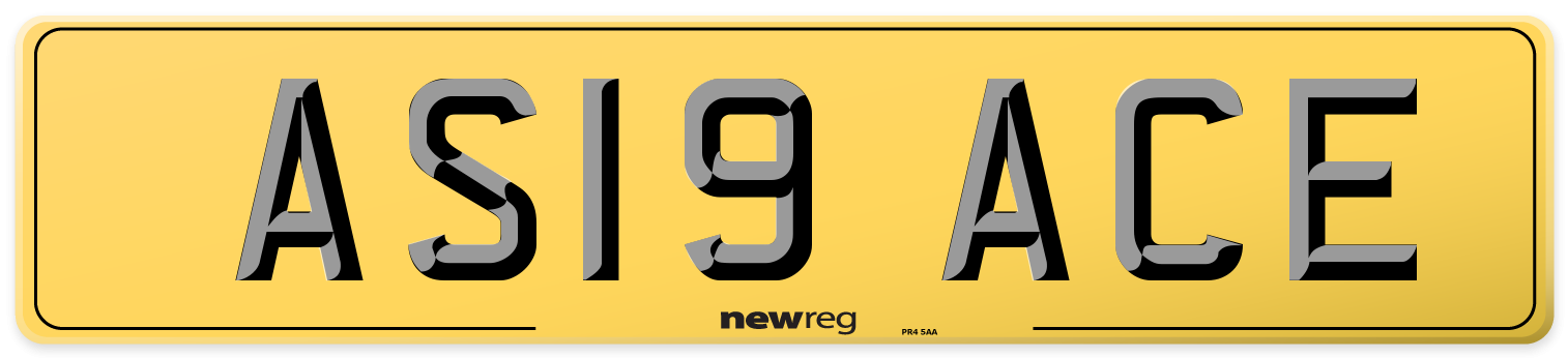 AS19 ACE Rear Number Plate