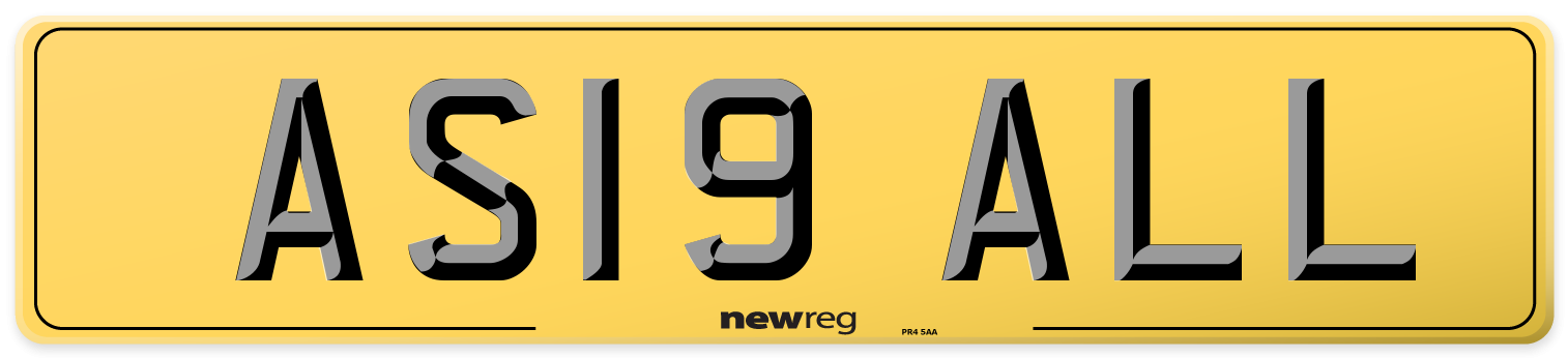 AS19 ALL Rear Number Plate