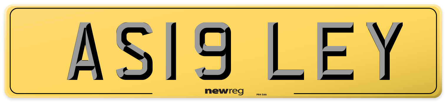 AS19 LEY Rear Number Plate