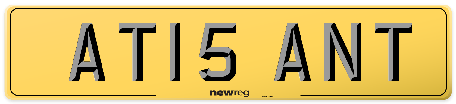 AT15 ANT Rear Number Plate