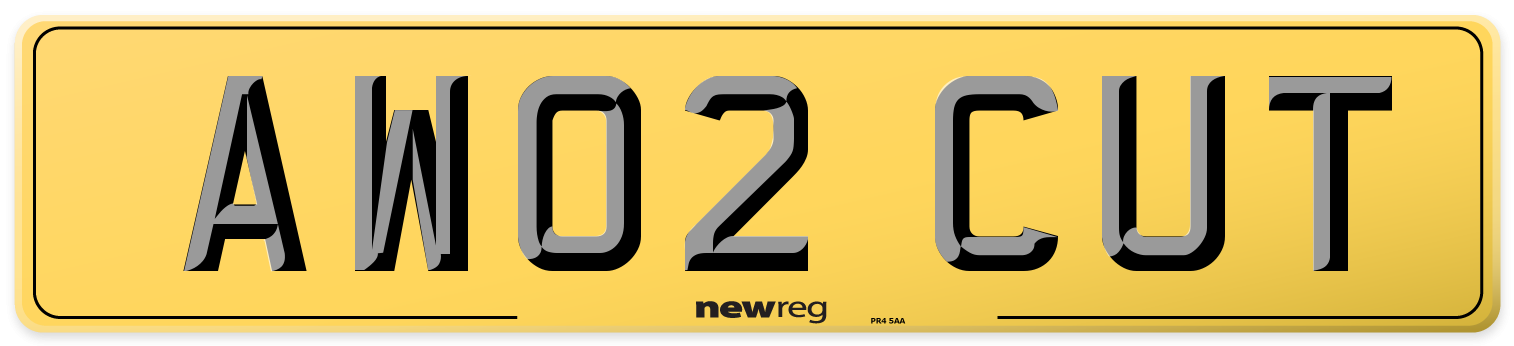 AW02 CUT Rear Number Plate