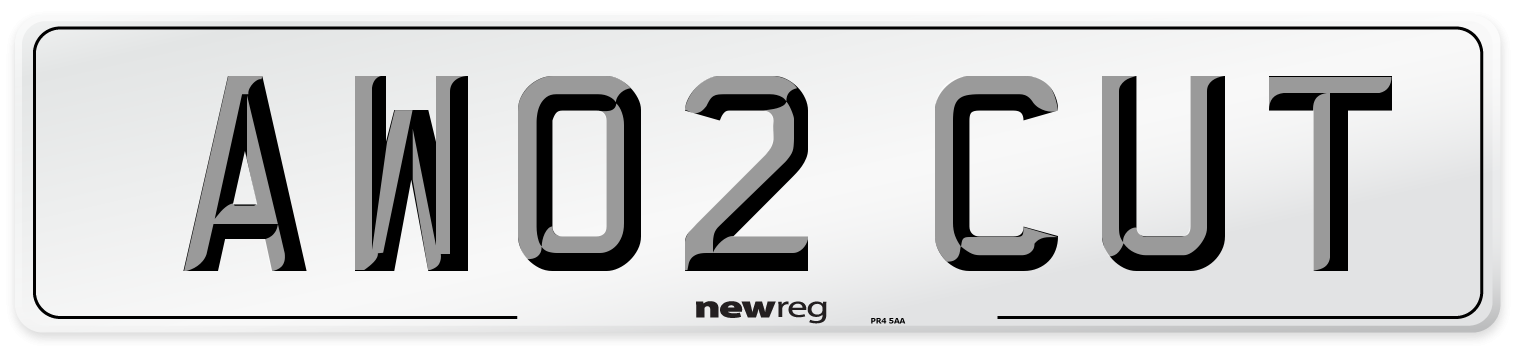 AW02 CUT Front Number Plate