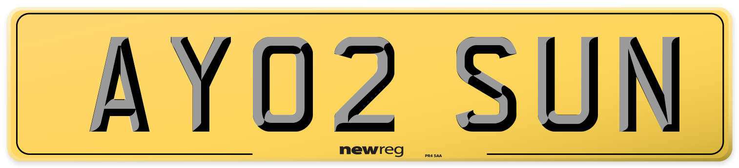 AY02 SUN Rear Number Plate