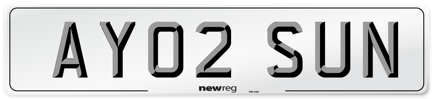 AY02 SUN Front Number Plate