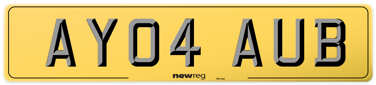 AY04 AUB Rear Number Plate