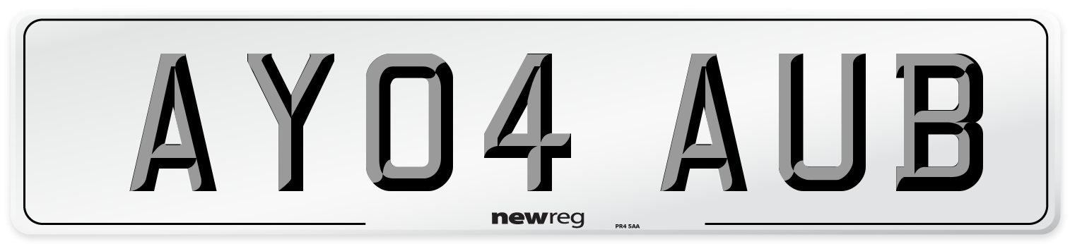 AY04 AUB Front Number Plate
