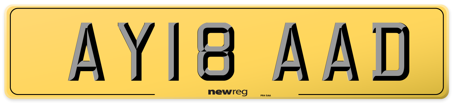 AY18 AAD Rear Number Plate