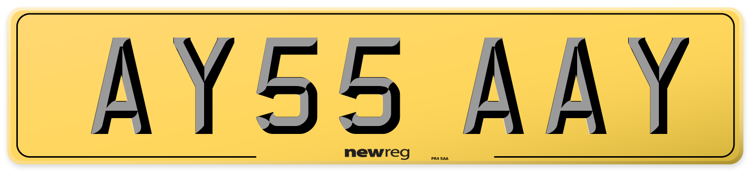 AY55 AAY Rear Number Plate