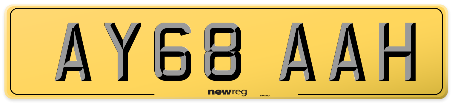 AY68 AAH Rear Number Plate