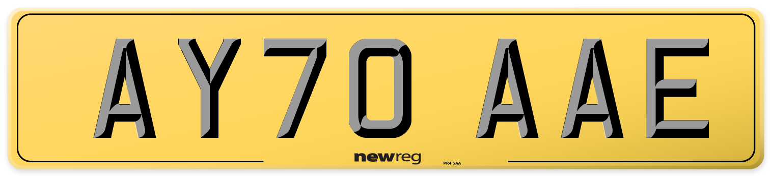 AY70 AAE Rear Number Plate