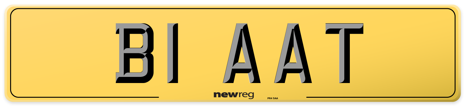 B1 AAT Rear Number Plate