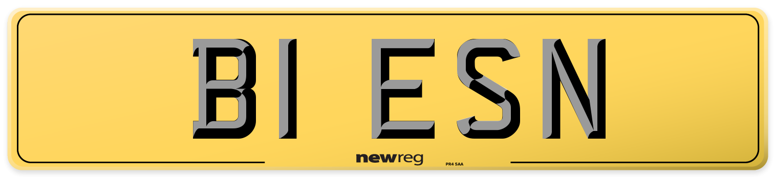 B1 ESN Rear Number Plate