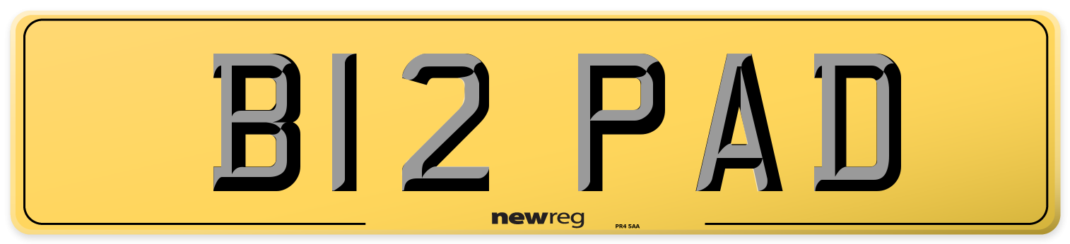 B12 PAD Rear Number Plate