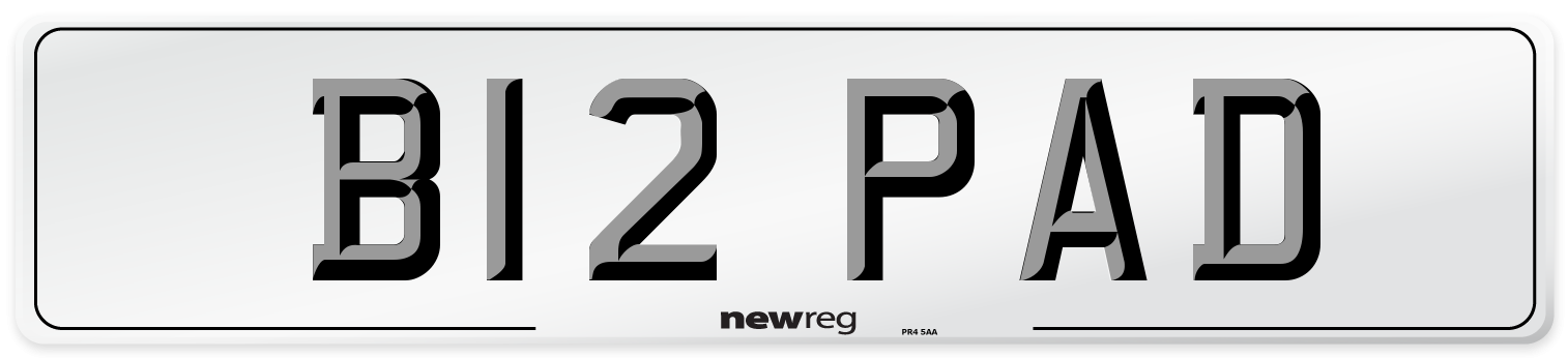 B12 PAD Front Number Plate