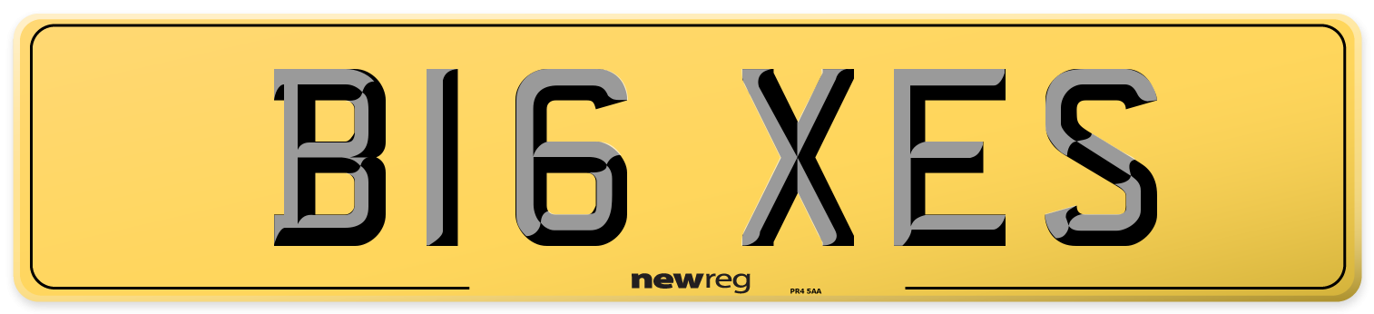 B16 XES Rear Number Plate
