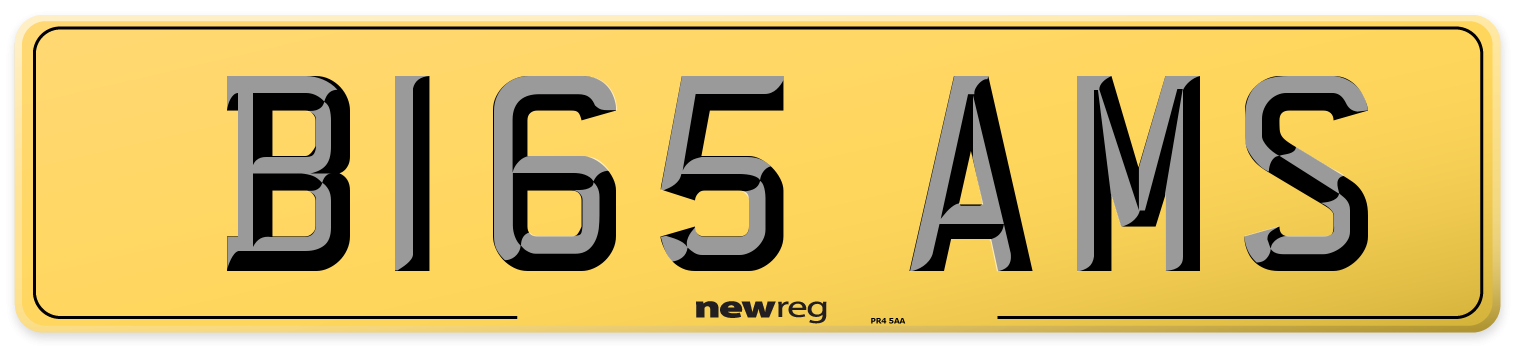 B165 AMS Rear Number Plate