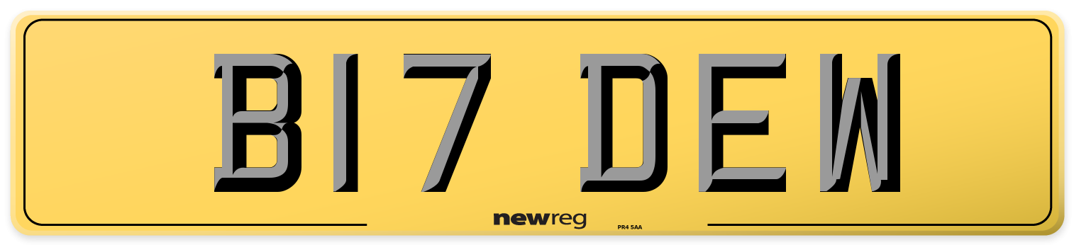 B17 DEW Rear Number Plate