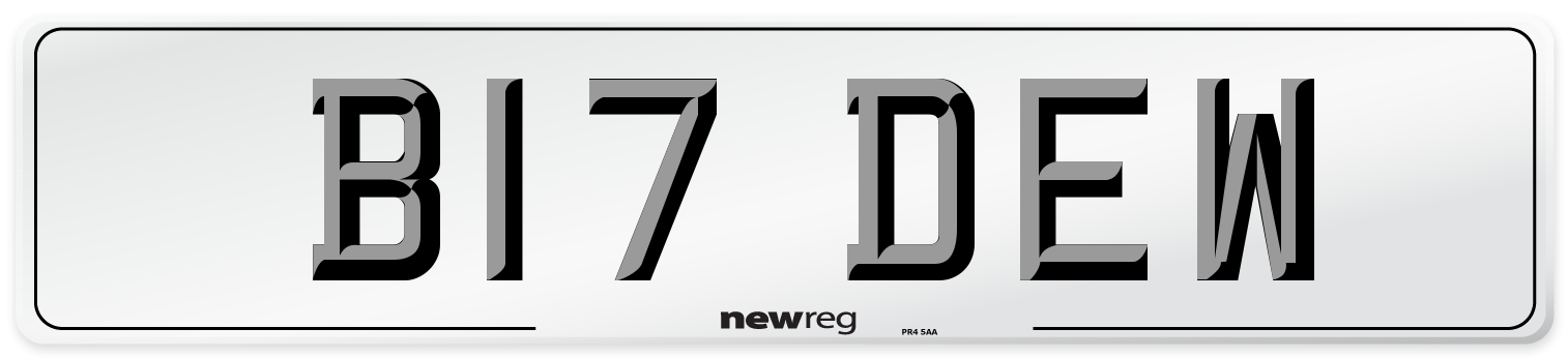 B17 DEW Front Number Plate