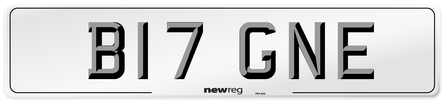 B17 GNE Front Number Plate