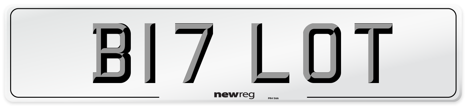 B17 LOT Front Number Plate