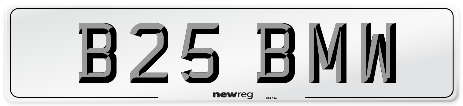 B25 BMW Front Number Plate