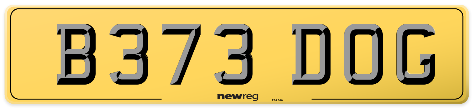 B373 DOG Rear Number Plate