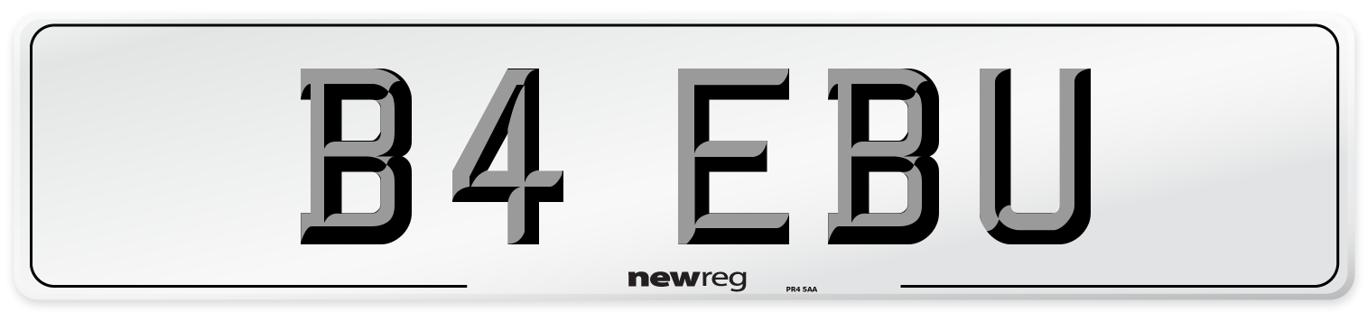 B4 EBU Front Number Plate