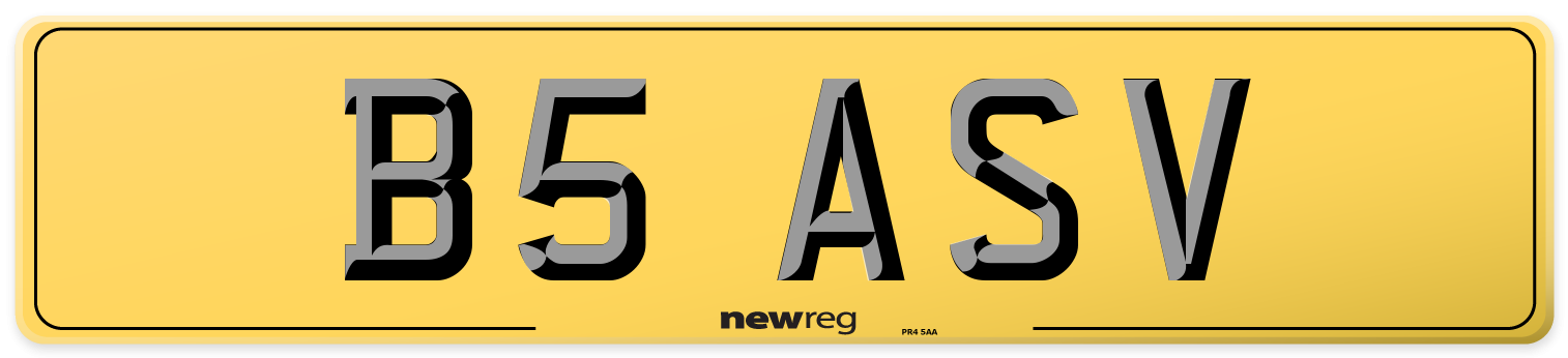 B5 ASV Rear Number Plate