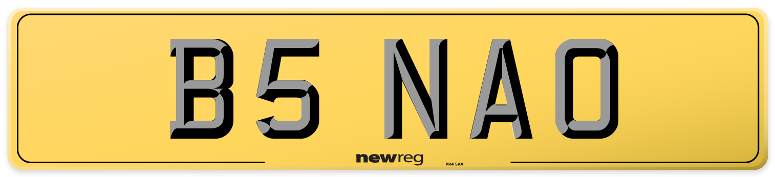 B5 NAO Rear Number Plate