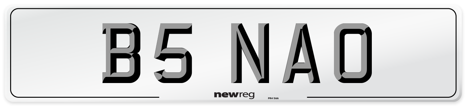 B5 NAO Front Number Plate
