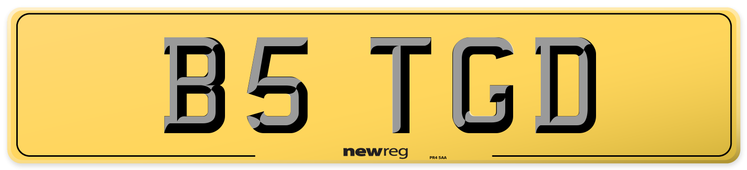 B5 TGD Rear Number Plate