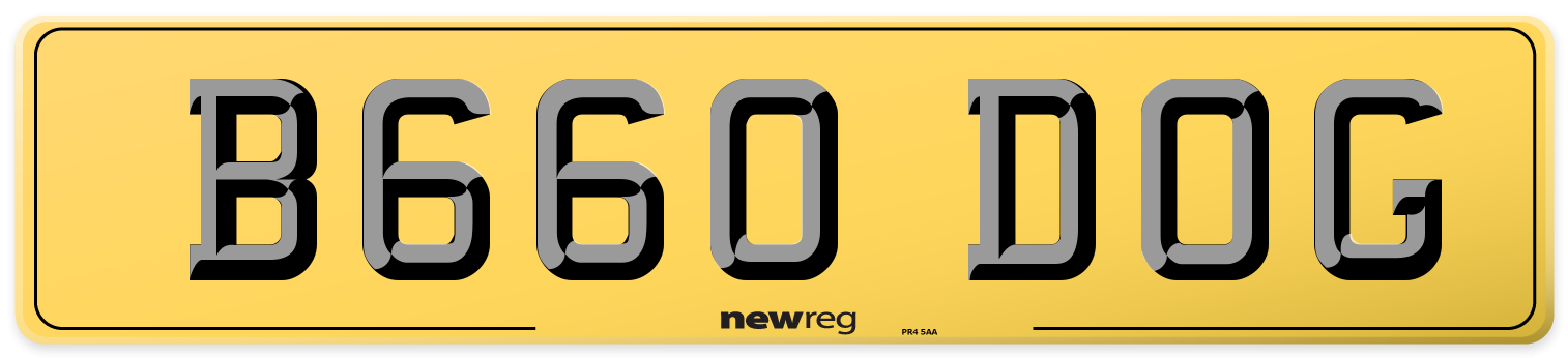 B660 DOG Rear Number Plate