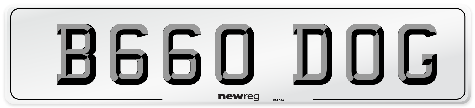 B660 DOG Front Number Plate