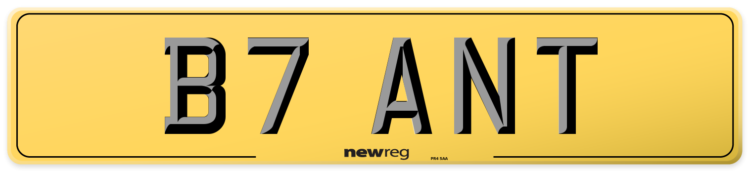 B7 ANT Rear Number Plate