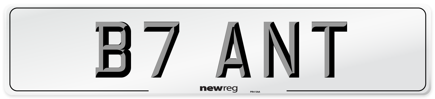 B7 ANT Front Number Plate