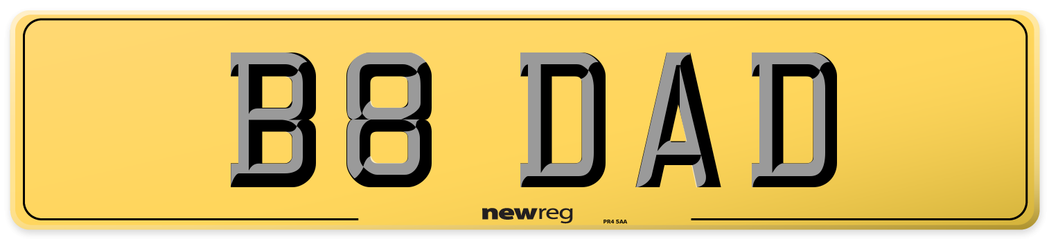 B8 DAD Rear Number Plate