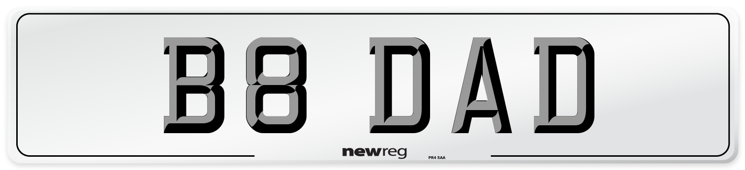 B8 DAD Front Number Plate