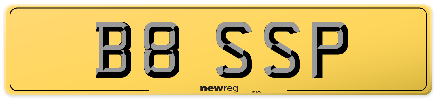 B8 SSP Rear Number Plate