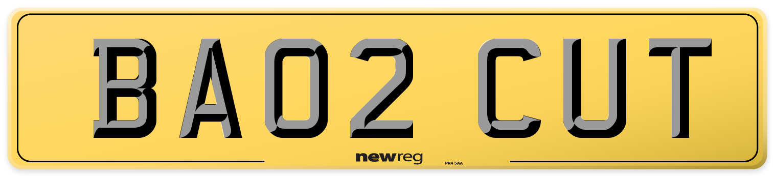 BA02 CUT Rear Number Plate