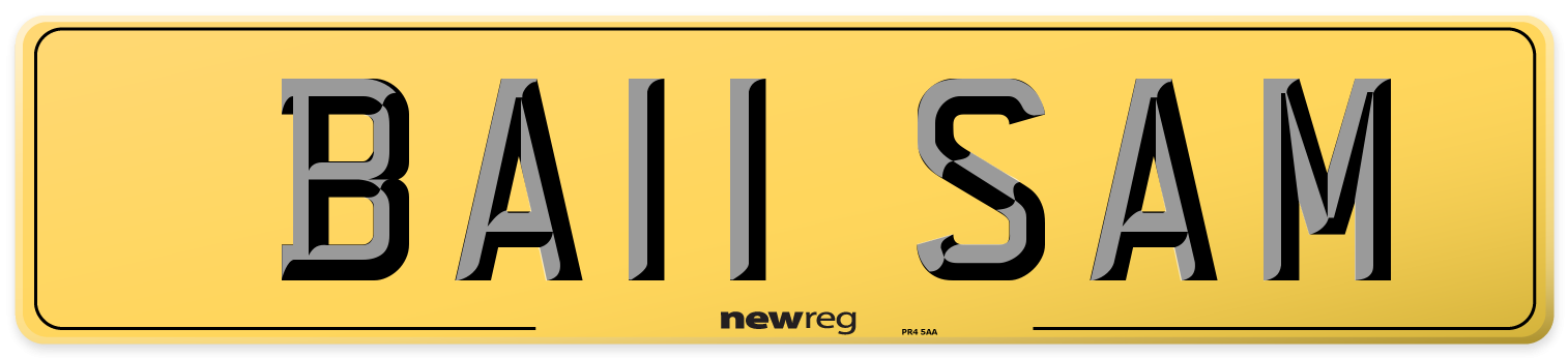 BA11 SAM Rear Number Plate